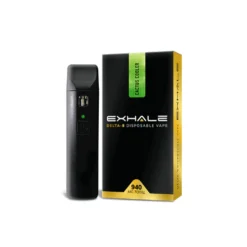 buy exhale delta 8 cactus cooler vape