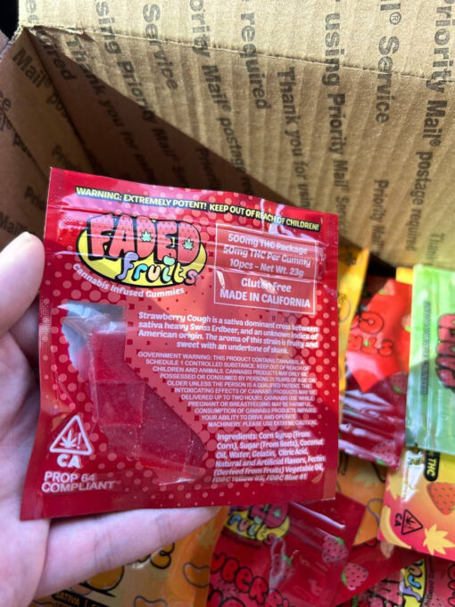 faded fruits 1000mg