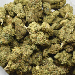 purple runtz weed strain
