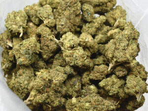 purple runtz weed strain