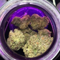 wizard trees weed
