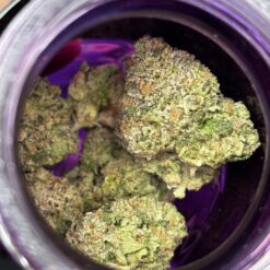 wizard trees