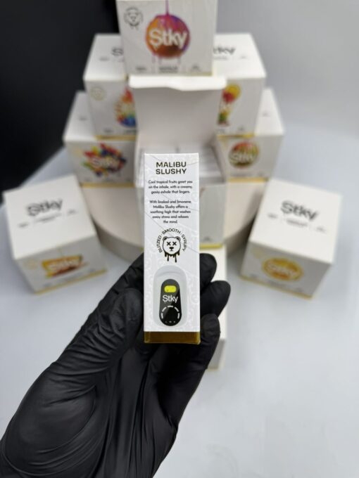 stky disposable 2 gram