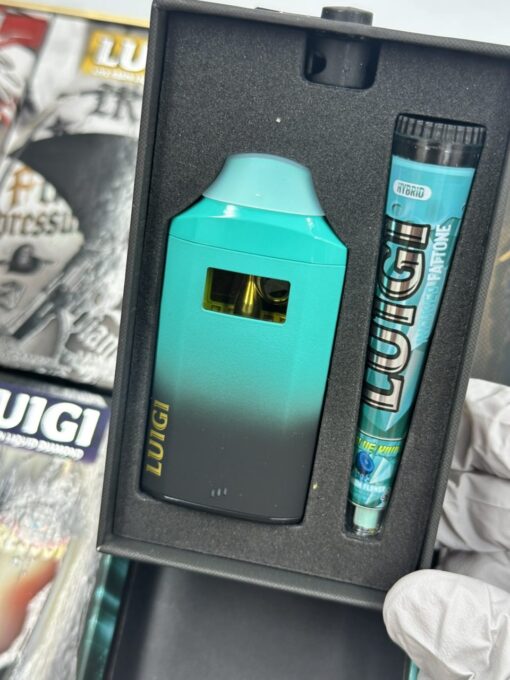 luigi 2g disposable